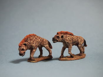 hyena1.jpg