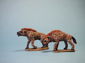 hyena5.jpg